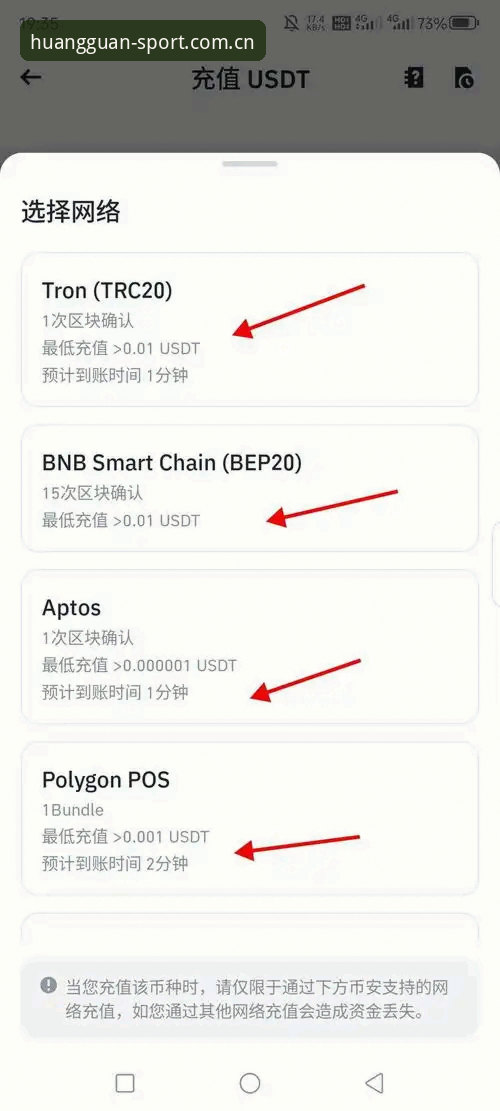 皇冠体育平台v3.0.1版本最新动态：新手用户最关心的安全与操作指南全解析
